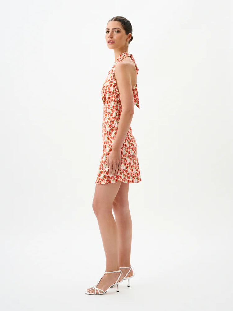 MADELEINE DRESS - FIELDS OF POPPY